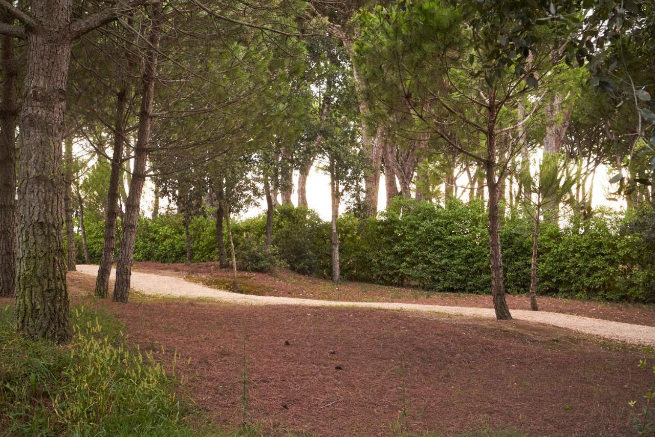 Aparthotel La Pineta Lido di Jesolo Ngoại thất bức ảnh